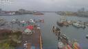 ./images/victoria/wharf/20190408/wharf20190408_155454.jpg