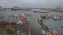 ./images/victoria/wharf/20190408/wharf20190408_160455.jpg