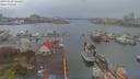 ./images/victoria/wharf/20190408/wharf20190408_164456.jpg