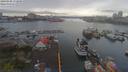 ./images/victoria/wharf/20190408/wharf20190408_172949.jpg