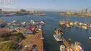 ./images/victoria/wharf/20190409/wharf20190409_125950.jpg