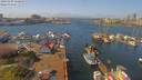 ./images/victoria/wharf/20190409/wharf20190409_130950.jpg