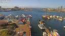 ./images/victoria/wharf/20190409/wharf20190409_131950.jpg
