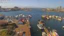 ./images/victoria/wharf/20190409/wharf20190409_132451.jpg