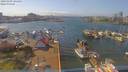 ./images/victoria/wharf/20190409/wharf20190409_144453.jpg