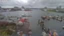 ./images/victoria/wharf/20190410/wharf20190410_123951.jpg