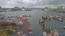 ./images/victoria/wharf/20190410/wharf20190410_124951.jpg