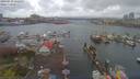 ./images/victoria/wharf/20190410/wharf20190410_132453.jpg