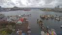 ./images/victoria/wharf/20190410/wharf20190410_132953.jpg