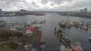 ./images/victoria/wharf/20190410/wharf20190410_135454.jpg