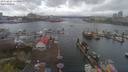 ./images/victoria/wharf/20190410/wharf20190410_141954.jpg