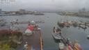 ./images/victoria/wharf/20190411/wharf20190411_100458.jpg