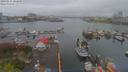 ./images/victoria/wharf/20190411/wharf20190411_102449.jpg