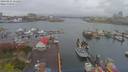 ./images/victoria/wharf/20190411/wharf20190411_111451.jpg
