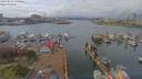 ./images/victoria/wharf/20190411/wharf20190411_135456.jpg