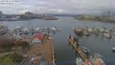 ./images/victoria/wharf/20190411/wharf20190411_135957.jpg