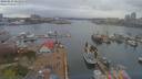 ./images/victoria/wharf/20190411/wharf20190411_161952.jpg