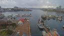 ./images/victoria/wharf/20190411/wharf20190411_191950.jpg