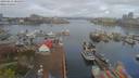 ./images/victoria/wharf/20190412/wharf20190412_085959.jpg