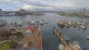 ./images/victoria/wharf/20190412/wharf20190412_132950.jpg