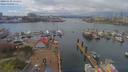 ./images/victoria/wharf/20190412/wharf20190412_134451.jpg