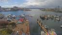 ./images/victoria/wharf/20190412/wharf20190412_142452.jpg