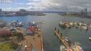 ./images/victoria/wharf/20190412/wharf20190412_143953.jpg