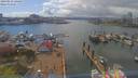 ./images/victoria/wharf/20190412/wharf20190412_144453.jpg