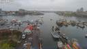 ./images/victoria/wharf/20190413/wharf20190413_100957.jpg