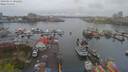 ./images/victoria/wharf/20190413/wharf20190413_102458.jpg