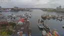 ./images/victoria/wharf/20190413/wharf20190413_111950.jpg