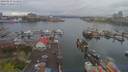 ./images/victoria/wharf/20190413/wharf20190413_114952.jpg