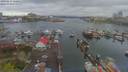 ./images/victoria/wharf/20190413/wharf20190413_120453.jpg