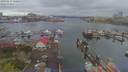 ./images/victoria/wharf/20190413/wharf20190413_120953.jpg