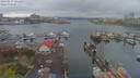 ./images/victoria/wharf/20190413/wharf20190413_121453.jpg
