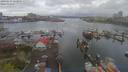 ./images/victoria/wharf/20190413/wharf20190413_123954.jpg
