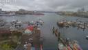 ./images/victoria/wharf/20190413/wharf20190413_130956.jpg
