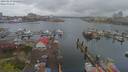 ./images/victoria/wharf/20190413/wharf20190413_131456.jpg