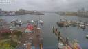 ./images/victoria/wharf/20190413/wharf20190413_131956.jpg