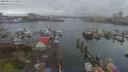 ./images/victoria/wharf/20190413/wharf20190413_132957.jpg
