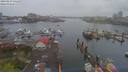 ./images/victoria/wharf/20190413/wharf20190413_141459.jpg