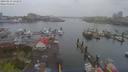 ./images/victoria/wharf/20190413/wharf20190413_141959.jpg