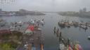 ./images/victoria/wharf/20190413/wharf20190413_142449.jpg