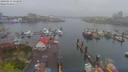 ./images/victoria/wharf/20190413/wharf20190413_142949.jpg