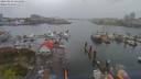 ./images/victoria/wharf/20190413/wharf20190413_144450.jpg