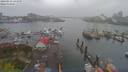 ./images/victoria/wharf/20190413/wharf20190413_144950.jpg