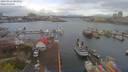 ./images/victoria/wharf/20190414/wharf20190414_083951.jpg