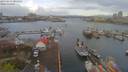 ./images/victoria/wharf/20190414/wharf20190414_084451.jpg