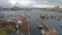 ./images/victoria/wharf/20190414/wharf20190414_084952.jpg