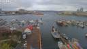 ./images/victoria/wharf/20190414/wharf20190414_091453.jpg